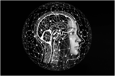 artificial-intelligence-brain-think-4389372