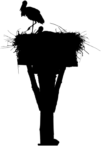 stork-nest-silhouette-bird-animal-5156403