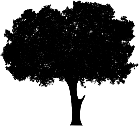 tree-landscape-silhouette-plant-5161252