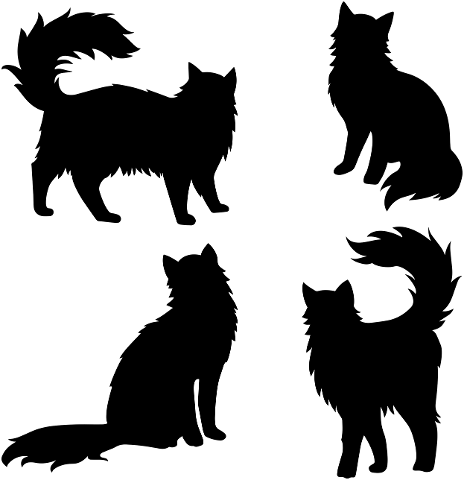 cat-silhouettes-furry-cat-tail-4462067
