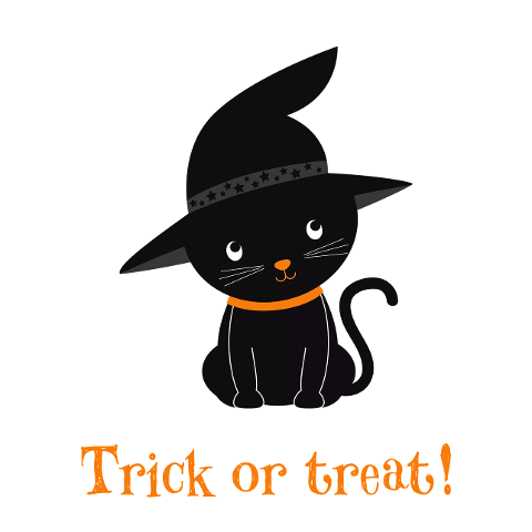 cat-halloween-black-animal-fantasy-4541869
