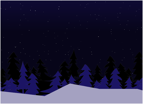 trees-winter-night-starts-sky-5181270