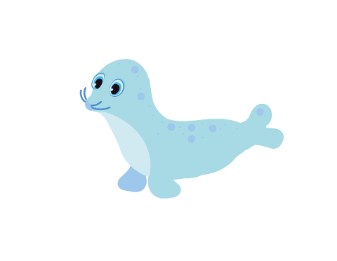 mammal-seal-marine-life-5416820