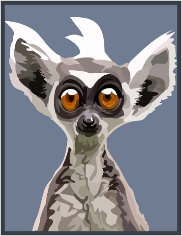 lemur-primate-ape-mammal-fur-5810264