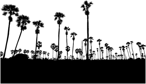 trees-landscape-silhouette-plant-4871115