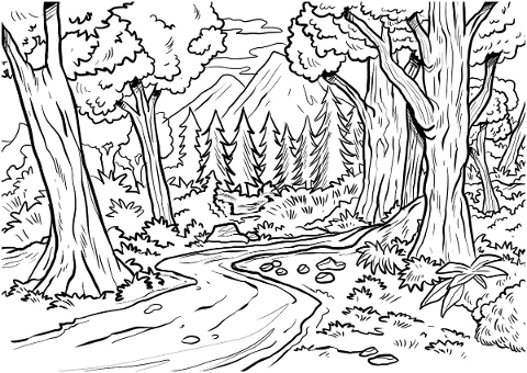 drawing-forest-trees-nature-4938001