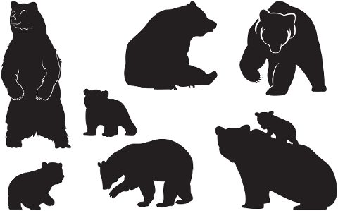 bear-cub-animal-silhouette-family-4338380
