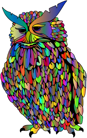 owl-feathers-bird-animal-flying-5081270