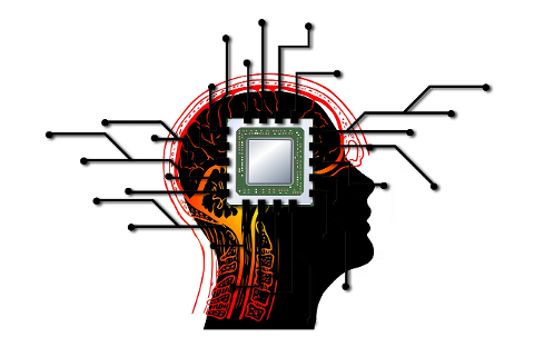 processor-brain-head-person-human-4347273