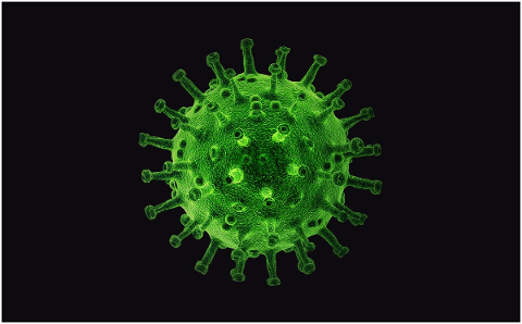 virus-pathogen-infection-biology-4958150