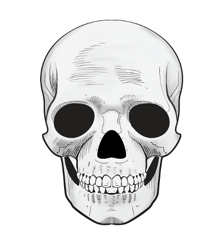 scary-skull-death-dead-human-4385836