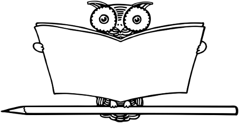 owl-reading-book-bird-animal-4760851