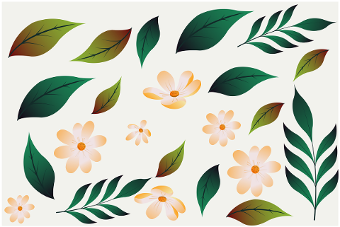 flowers-leaves-wallpaper-bloom-5779952