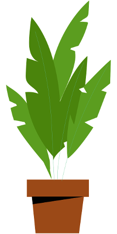 plant-leaf-nature-leaves-tree-4596767