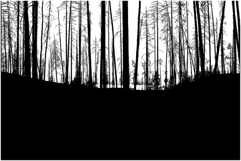 trees-landscape-silhouette-forest-5118242