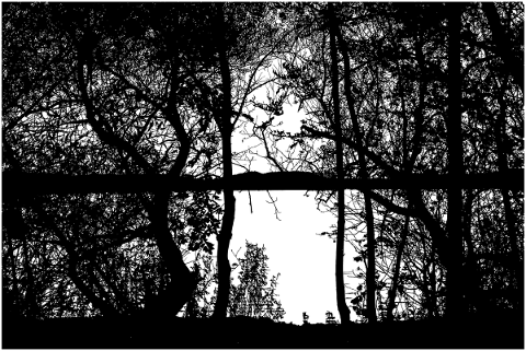 trees-landscape-silhouette-lake-5118173