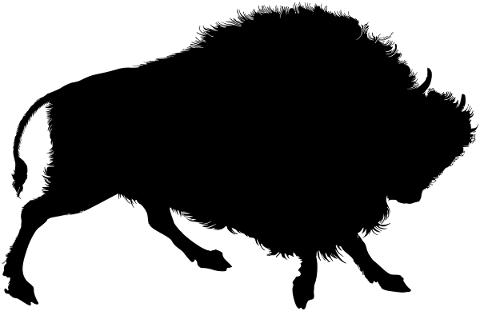 bison-buffalo-silhouette-animal-5202519