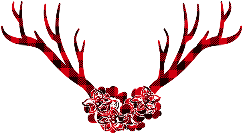 deer-antlers-red-deer-silhouette-4630180