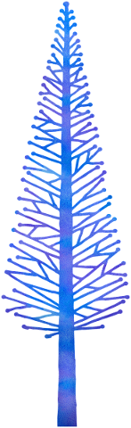 watercolor-pine-tree-pine-tree-5216155