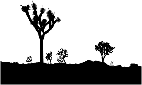 joshua-tree-landscape-silhouette-5192648