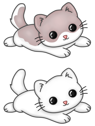 cat-kawaii-feline-kitten-tender-5367741