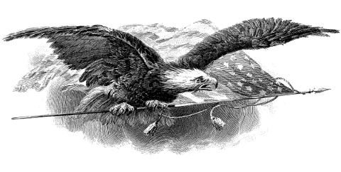 eagle-america-flag-americana-bird-5130582