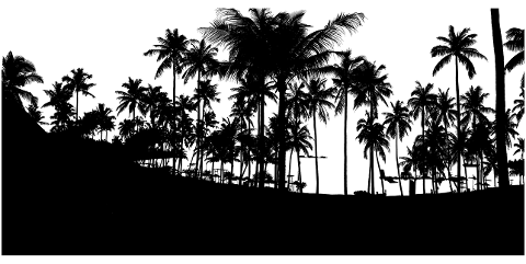 tropical-trees-silhouette-beach-4607099