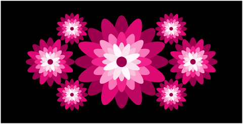 flowers-symmetry-pattern-ornament-4845561