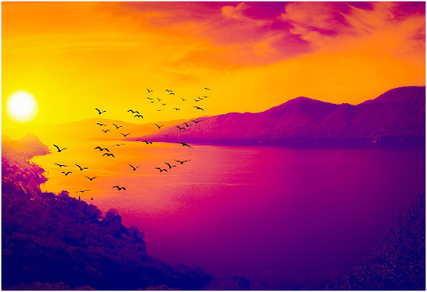 birds-sea-mountains-sunset-dusk-6015728