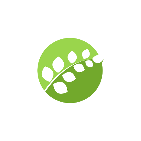 eco-icon-logo-leaf-friendly-green-5465476