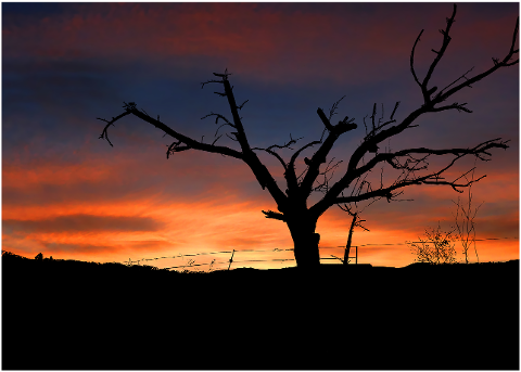 sunset-nature-tree-fall-landscape-4625438