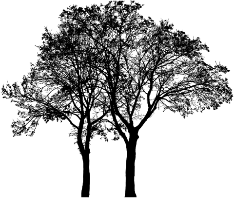 trees-landscape-silhouette-plant-4905400