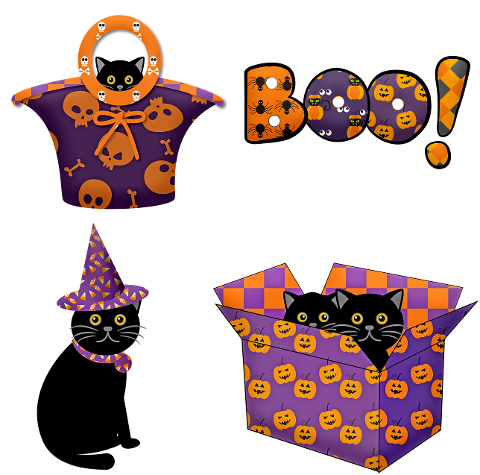halloween-black-cat-cat-black-4364263