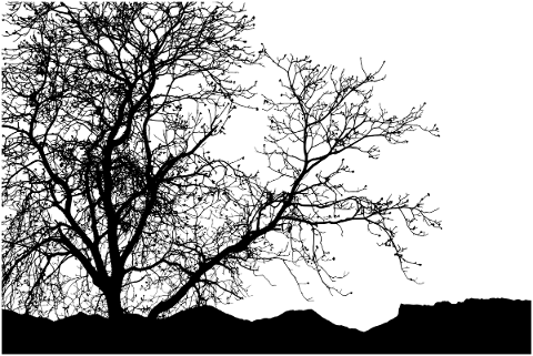 trees-branches-forest-silhouette-5771084