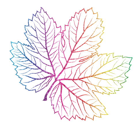 autumn-leaves-skeleton-leaf-glitter-5019585