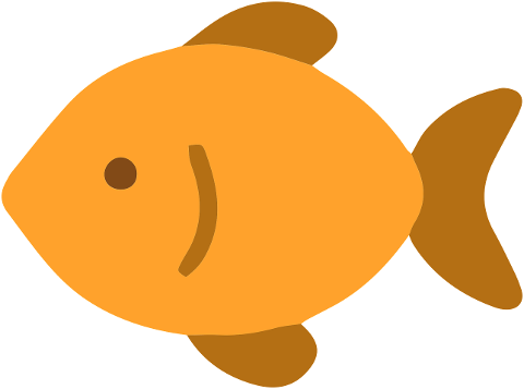 fish-aquatic-animal-orange-fin-9551671
