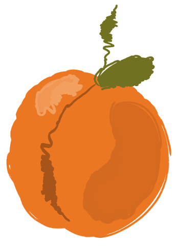 peach-orange-fruit-5176558