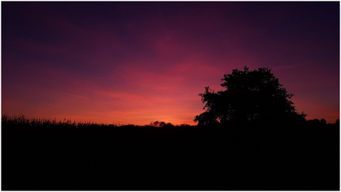 sunset-evening-beautiful-sky-tree-5206980