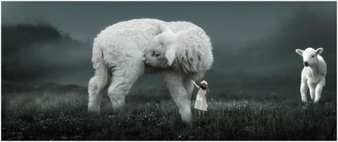 fantasy-lambs-girl-meadow-nature-4927815
