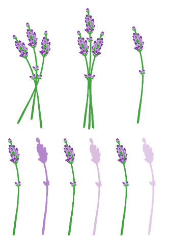lavender-flowers-provence-fragrance-5127702