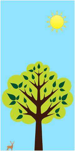 tree-green-blue-sky-4615104