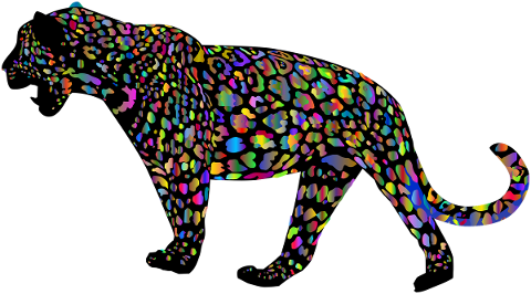 jaguar-leopard-animal-cat-feline-5165026
