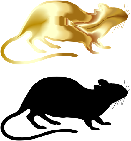 rat-rodent-silhouette-gold-chinese-5184465