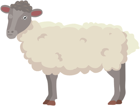 sheep-lamb-ram-animal-farm-4908767