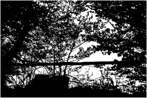 forest-trees-silhouette-lake-5142641