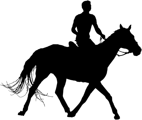 horse-riding-silhouette-man-animal-4236399
