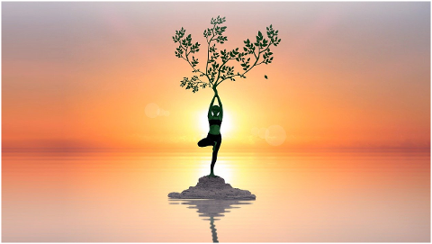 women-tree-fantasy-yoga-meditation-4607378