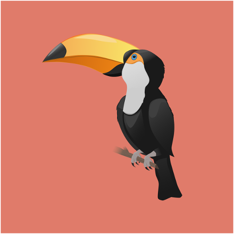 bird-toucan-feathers-beak-tropical-5630771