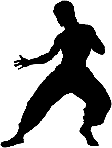 bruce-lee-martial-arts-silhouette-5279420