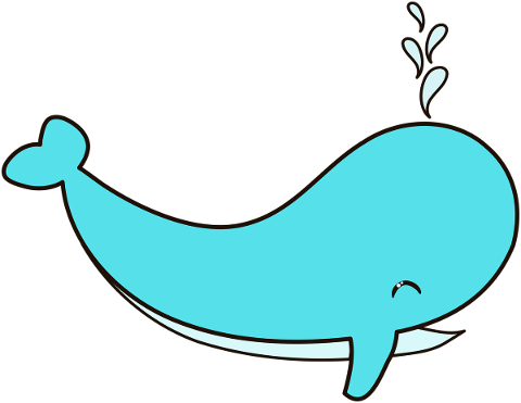 whale-sea-water-fish-swimming-4788690